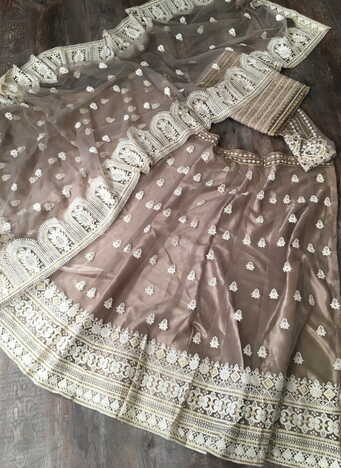 Pretty Beige Color Festive Wear Net Lucknowi Work Designer Lehenga Choli